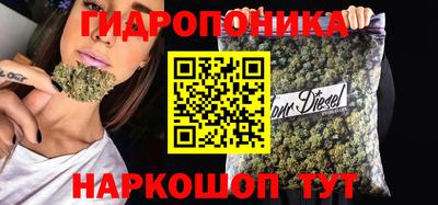 соль ск Моздок